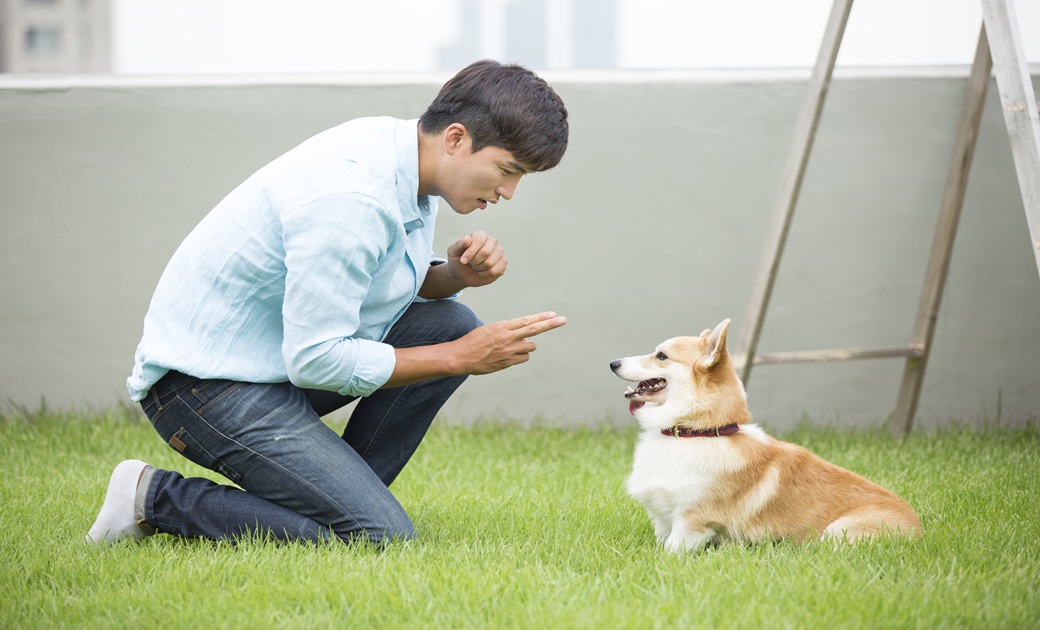 ���� �Ұ� �̹���